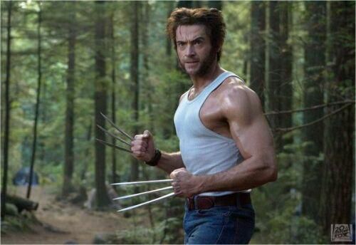L'incontournable Wolverine (Hugh Jackman)
