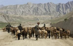 Afghanistan, Reuters