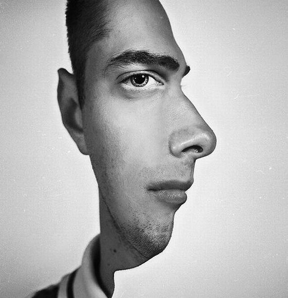 Illusion d'optique: visage de face ou de profil ? - Gigistudio: un moment  de detente sur le web