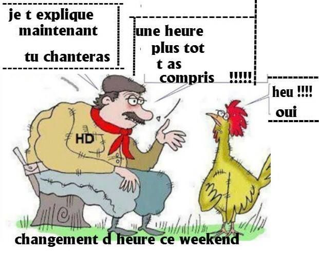 changer-heure-coq.jpg