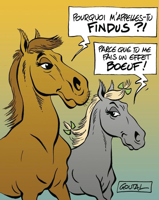 findus effet boeuf dessin db gag