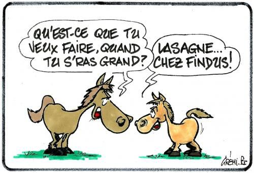 lasagne-findus-humour-dessin-image-drole