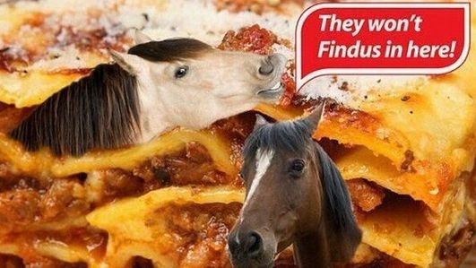findus trouvé cheval lasagne