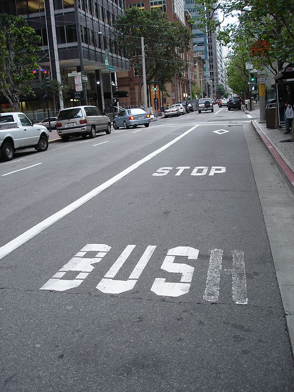 bus-bush.jpg