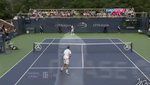 tennis-us-open-hanescu-feinte_smash.jpg
