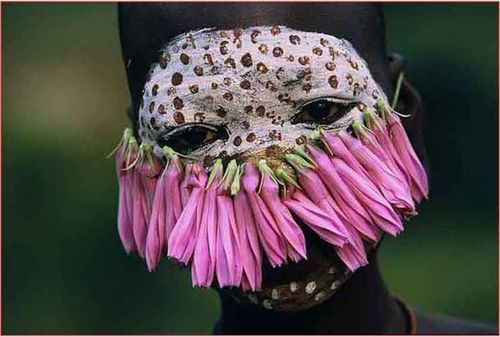 omo hans silvester