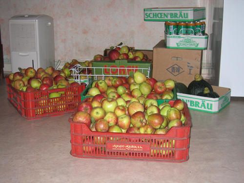 pommes.jpg