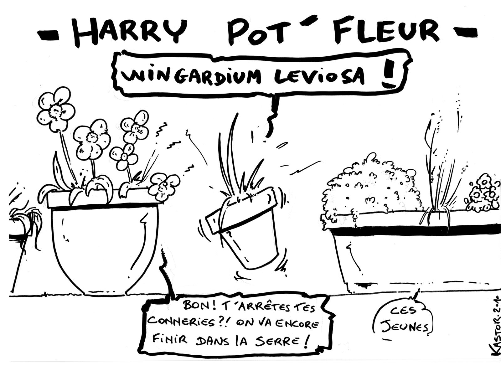 harrypotfleur-001.jpg