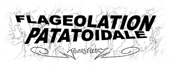 Flageolation Patatoïdale / Thomas Fleury / Blog dessiné / Histoires en une case / Illustrations / dessins / bande dessinée