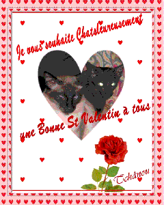 chat valentin