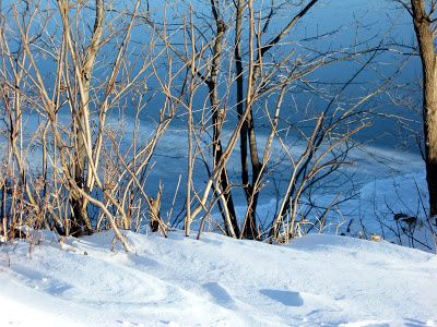 Neige-montreal-2-01-08-012.jpg