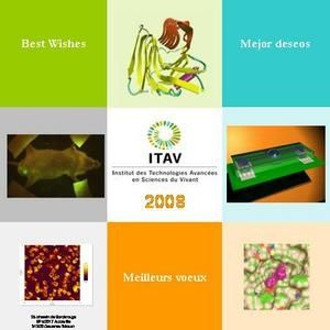 Voeux-ITAV-2008.jpg