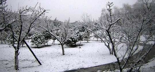 sous la neige 18 février 2006