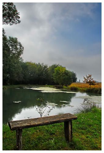 BSC-0172-copie-1.jpg
