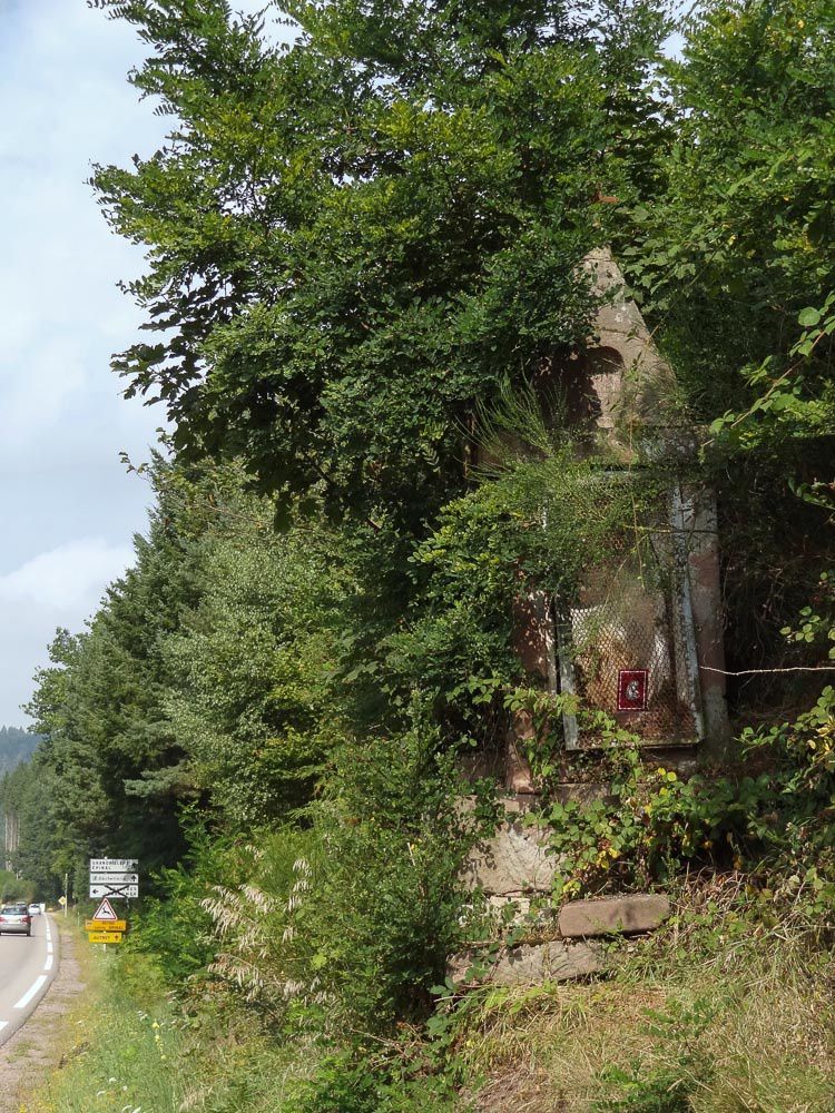 Photographies prises au cours de la montée à la Roche de Fouchon et depuis la Roche de Fouchon point de vue sur Bruyères.
