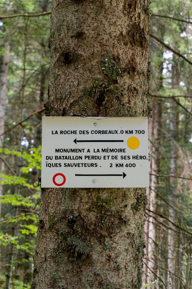 Découvrir une partie du Chemin de la Liberté de Bruyères à Biffontaine avec cette belle randonnée de Vanémont au Trapin des Saules en passant par la Roche du Corbeau, la Pierre de la Guillotine, retour par la route forestière de Noiregoutte