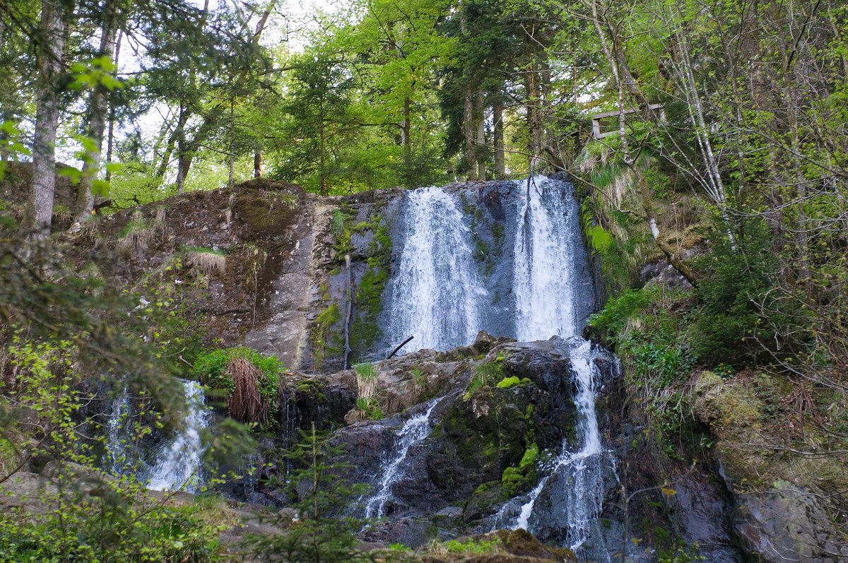 Séjour à BRUYÈRES-VOSGES : balade aux Cascades de Tendon - Bruyères-Vosges