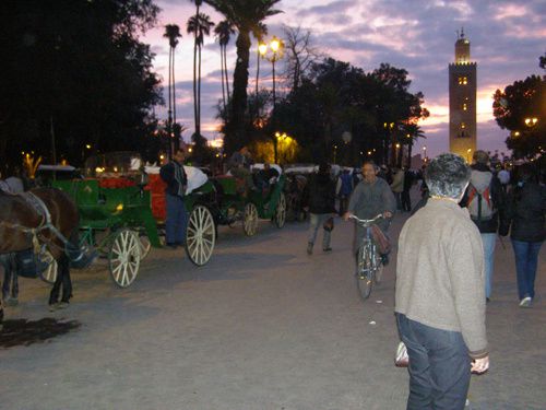 rd 2011 Marrakech C 183