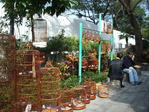 Hong Kong.marché aux oiseaux.jpg