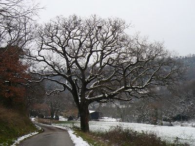 rd10 01 07 023
