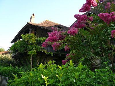 Maisons fleuries sur le quai de beaulieu sur Dordogne362