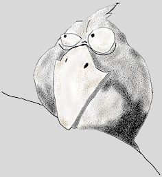 corbak-copie-1.jpg