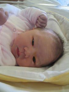 IMG-4604.JPG
