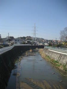 IMG_7313.JPG
