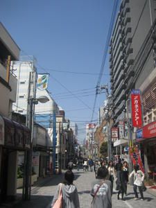 IMG_7364.JPG
