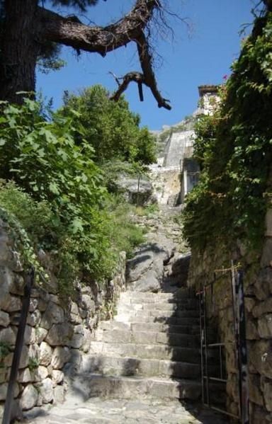 791---Montenegro---seconde-excursion---Kotor-29.jpg
