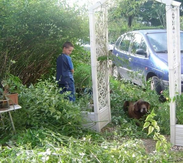 786---jardin---dur-labeur2.jpg