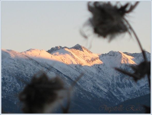 montagnechardon.jpg