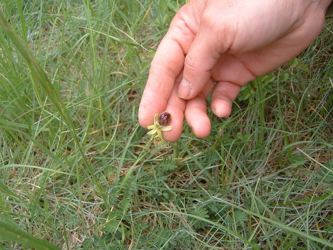 DSCF0011.JPG