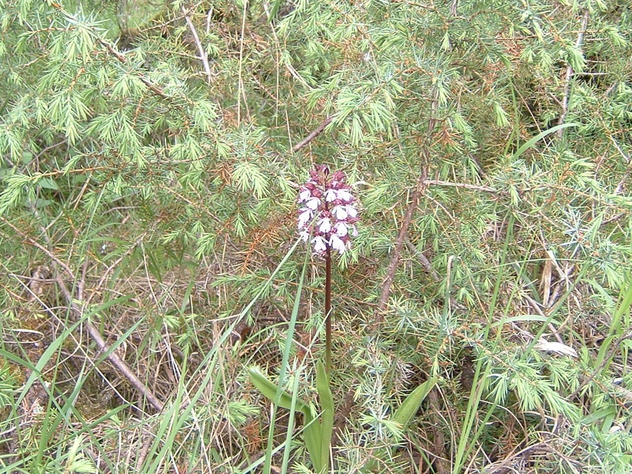DSCF0016.JPG