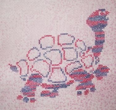 tortue-1.jpg