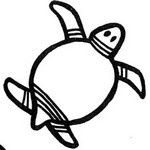 tortue12