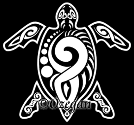 tortue13
