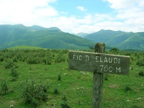 Elaudi2.jpg