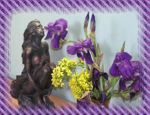fleur-iris1.jpg