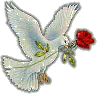 colombe-rose.gif