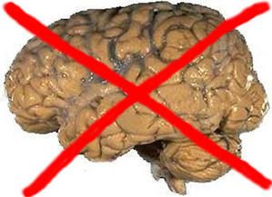 cerveau-2.jpg
