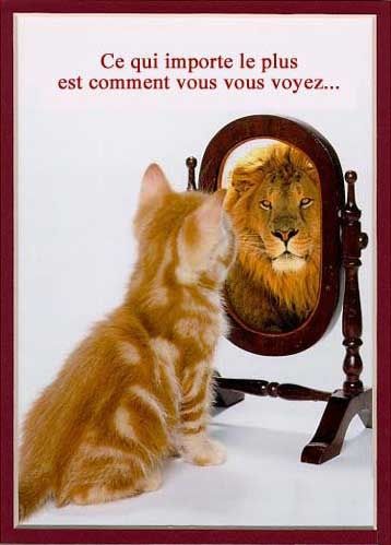 animaux-3.jpg