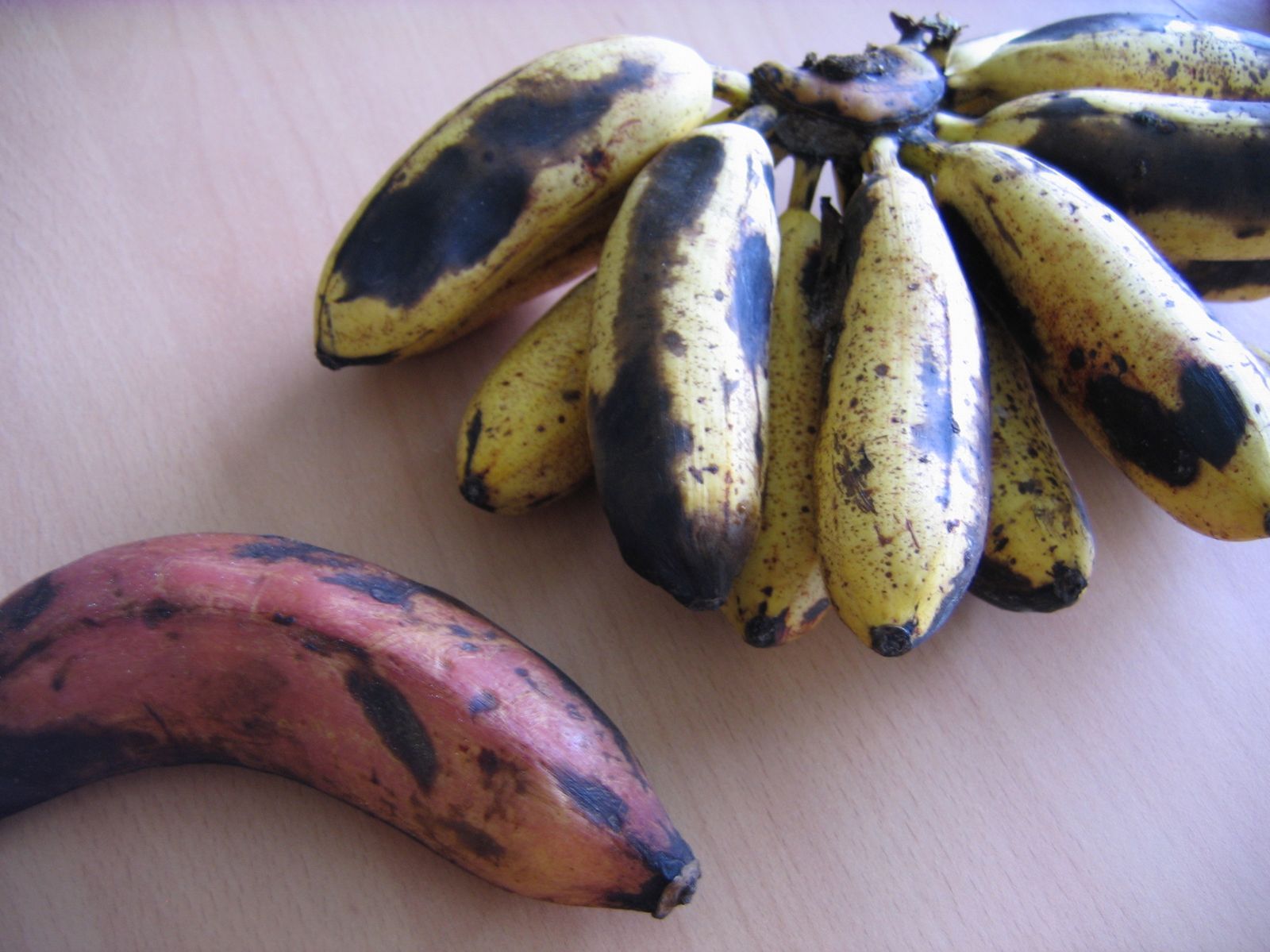 Quelques variétés différentes Bananes