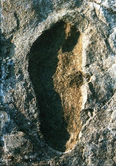 Empreintes fossilisées de Laetoli - Tanzanie