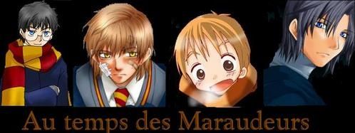 Poudlard au temps des Maraudeurs