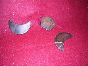 DSCN4691.jpg