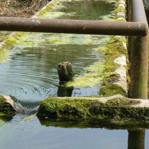 lavoir.jpg