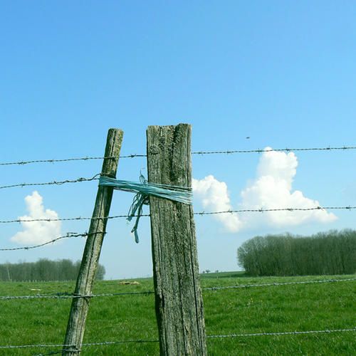 poteau-mercredi.jpg