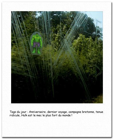polahulk.jpg