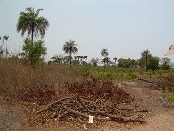 emplacement-projet.jpg